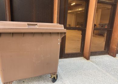 Traseras de un negocio en plena Avenida