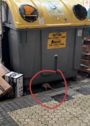 Vertedero en pleno Centro