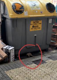 Vertedero en pleno Centro