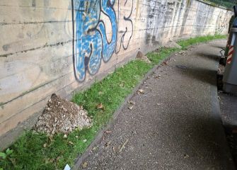 Ratas instaladas en el Paseo de Lazkano 
