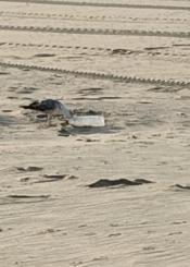 Playas sin recursos humanos suficientes 