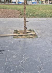 Plaza de Cataluña-Gros