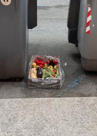     Queja por abandono de residuos y plaga de ratas en Iztieta