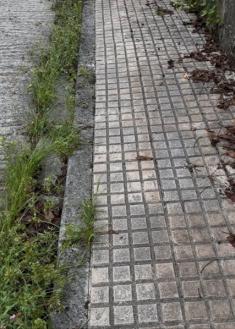 Acera intransitable 