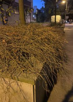 Abandono en Bidebieta