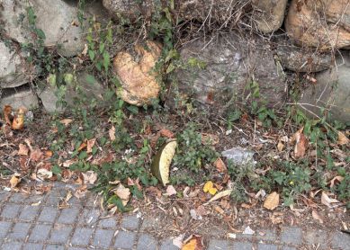 Jardines Ondarreta