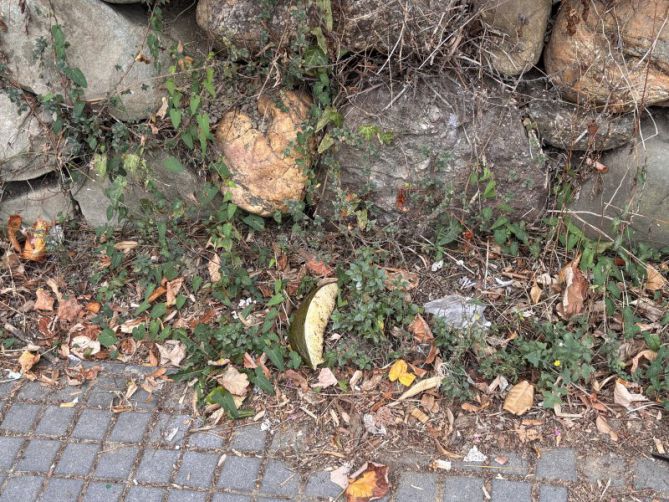 Otros en Donostia-San Sebastián