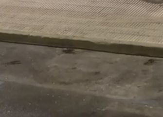 Queja y solicitud urgente de actuación por plaga de ratas Iztieta Errenteria 